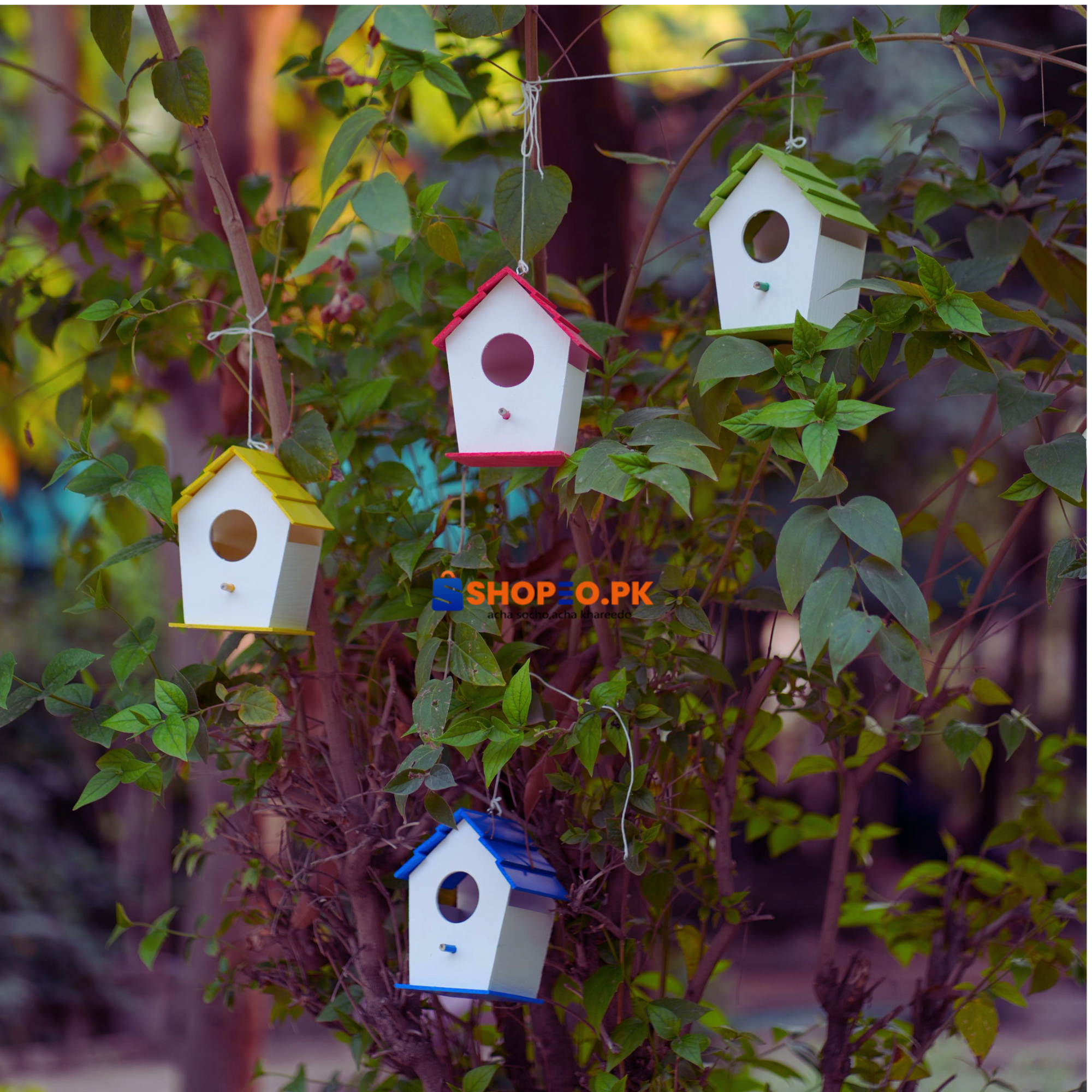 Birds House