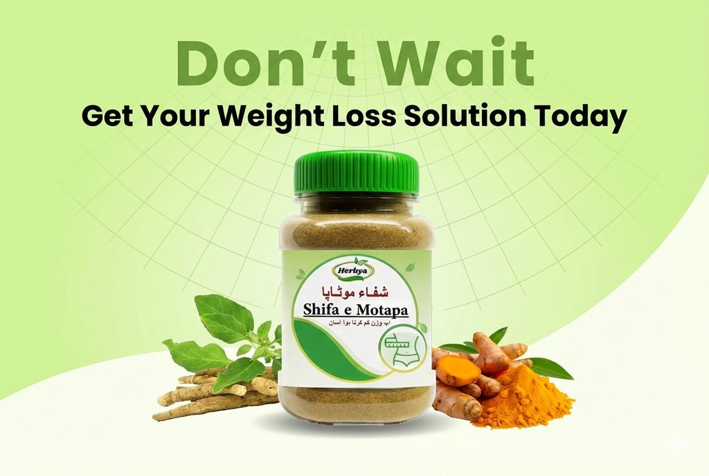 Shifa e Motapa (Moringa Powder)