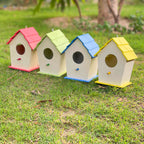 Birds House