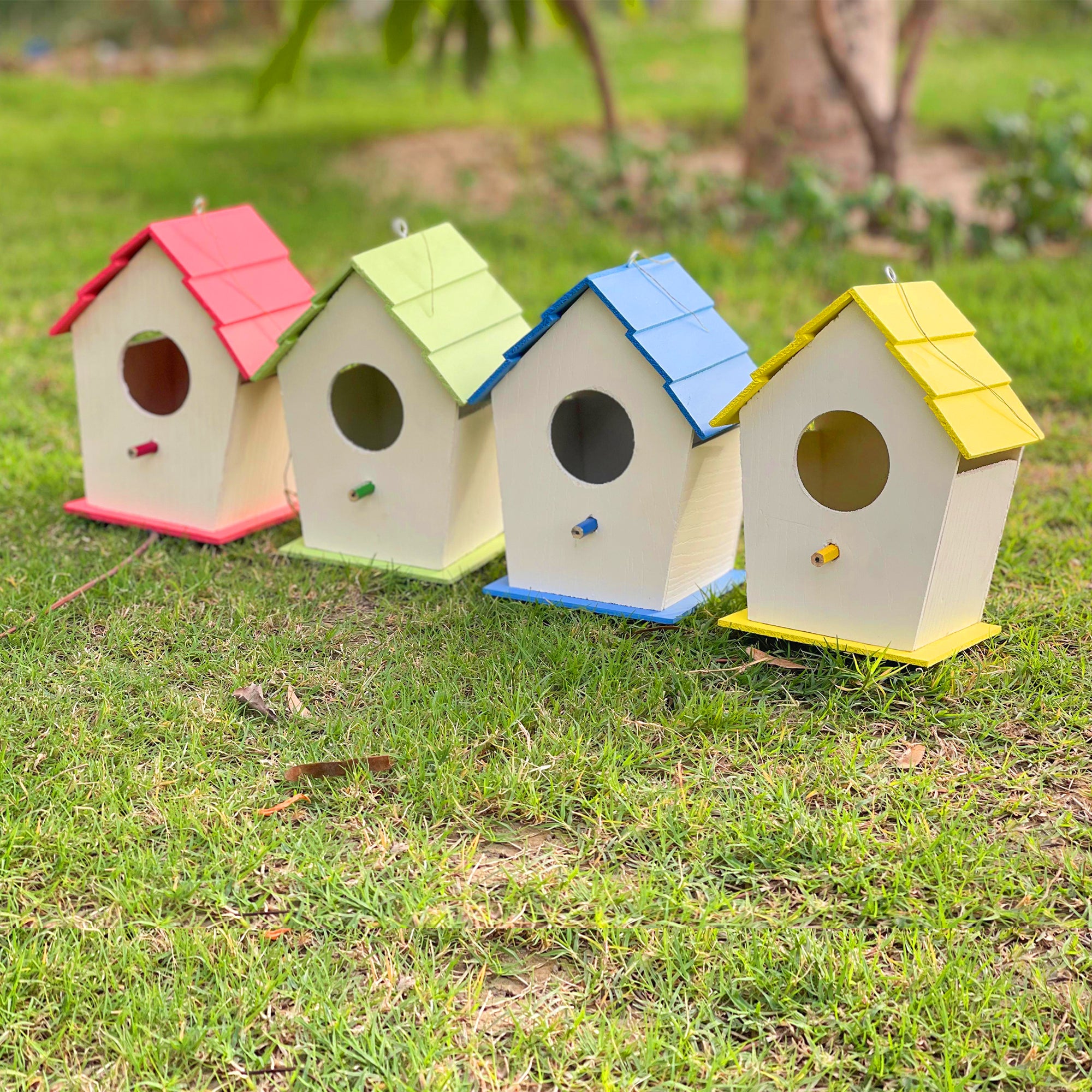 Birds House
