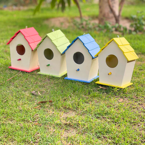 Birds House